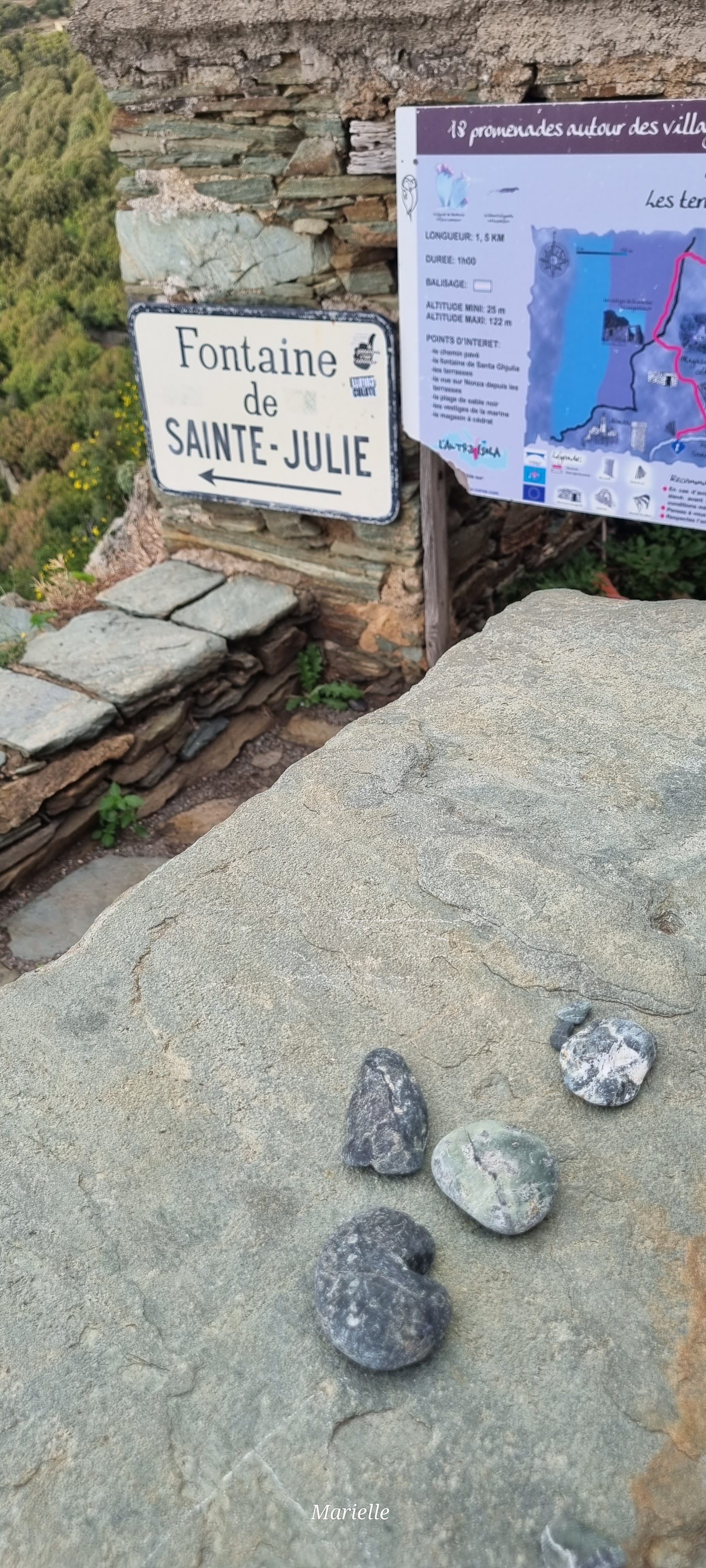 Photo n° 1 de l'avis de Marielle. fait le 30/10/2023 à 07:52