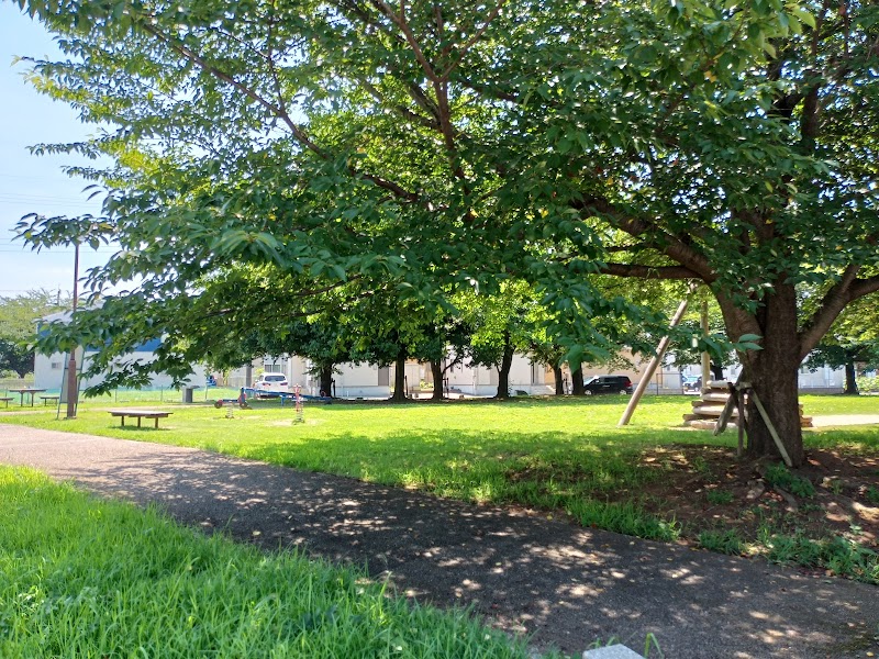 ぴかぴか公園(春の公園)