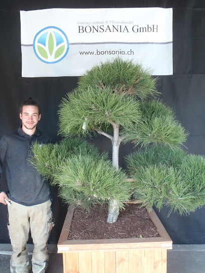 Bonsania GmbH - Gartenbau, Gartenpflege & Pflanzenverkauf Littau