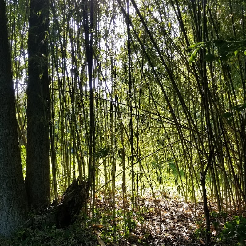 Elkhorn Branch Trail