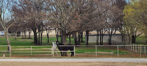 Slinkers Quarter Horse Ranch