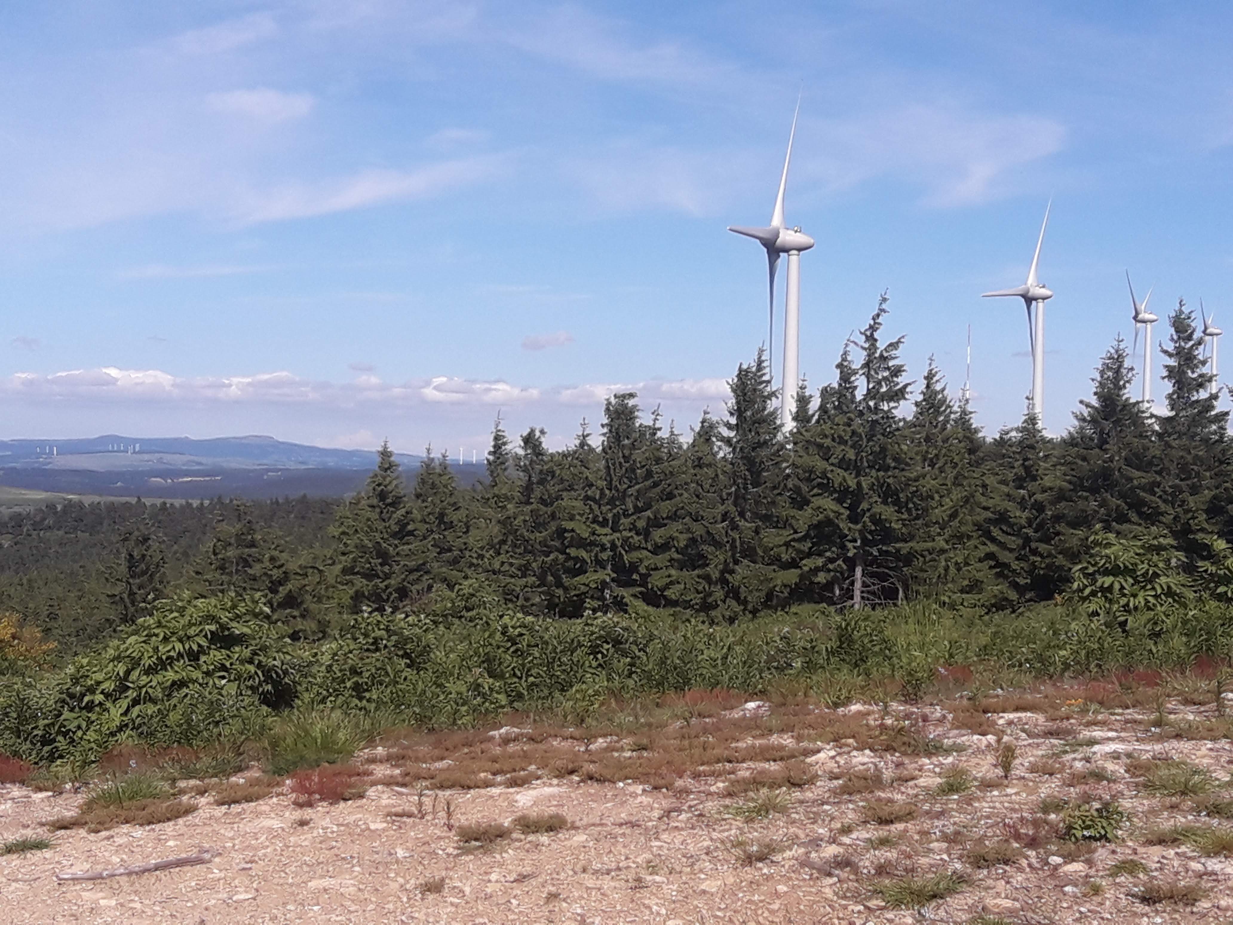 Photo n° 32 de l'avis de Stefe. fait le 27/06/2018 à 14:23