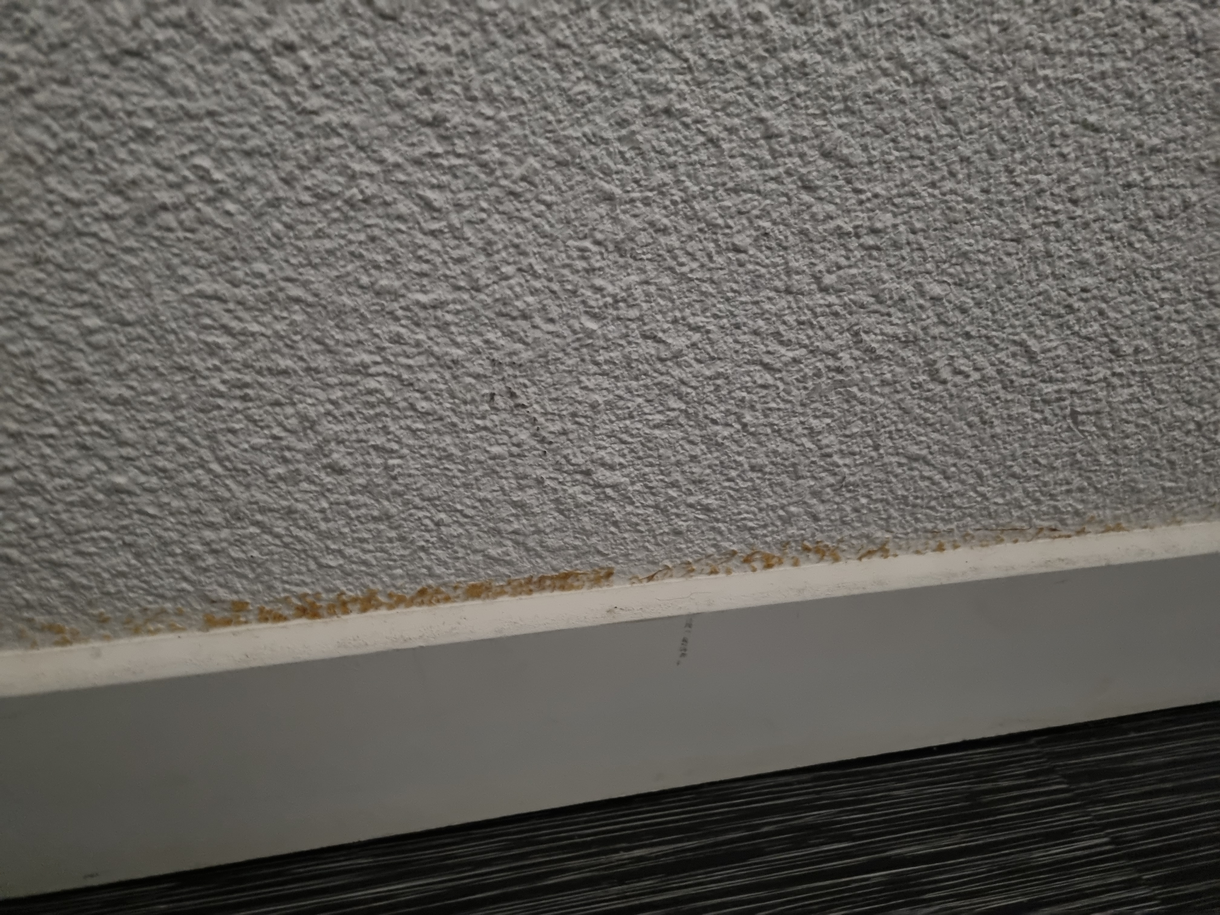 Photo n° 9 de l'avis de Ludovic.E fait le 17/12/2023 à 17:17