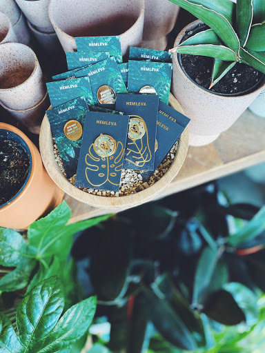 Florist «Stacy K Floral», reviews and photos, 43 Russell St, Rochester, NY 14607, USA