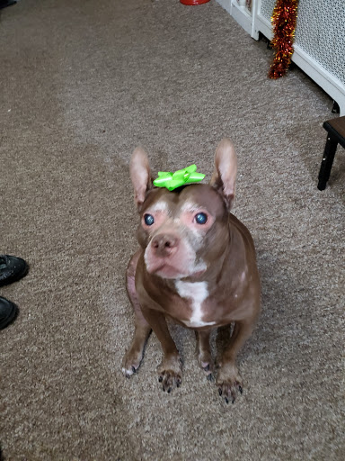 Pet Supply Store «English Creek Supply», reviews and photos, 3088 English Creek Ave, Egg Harbor Township, NJ 08234, USA