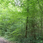 Photo n° 13 de l'avis de serge.e fait le 10/09/2018 à 08:03 pour Châteauform' Château de Crécy-la-Chapelle à Crécy-la-Chapelle