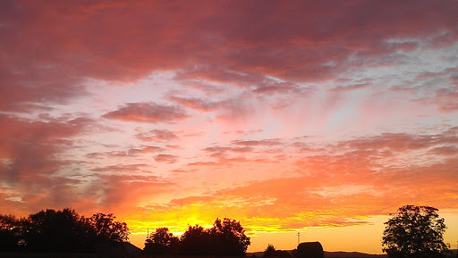 Coffee Shop «Due South Coffee Roasters», reviews and photos, 250 Mill St #4c, Taylors, SC 29687, USA