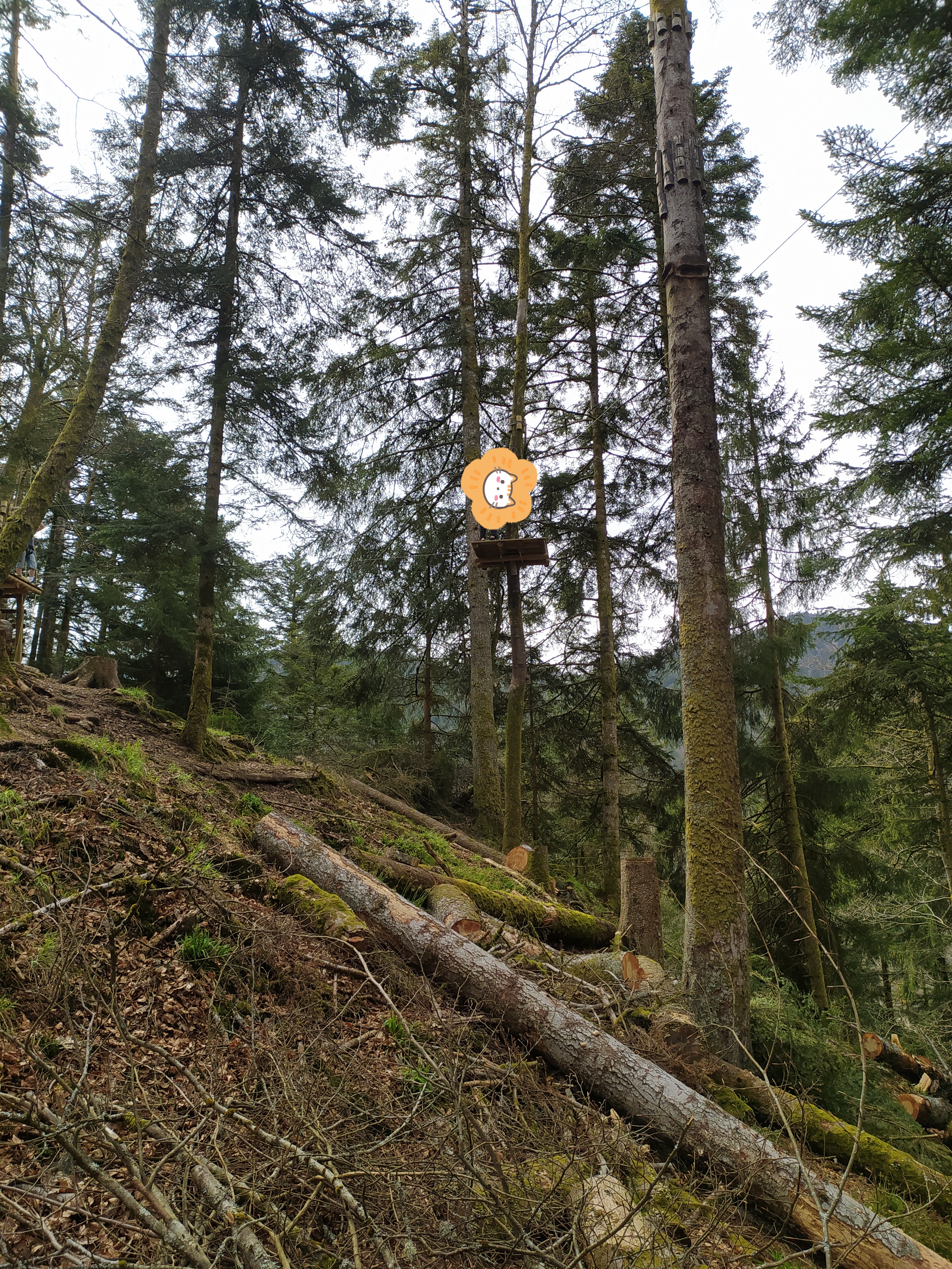 Photo n° 4 de l'avis de Angélique.o fait le 16/04/2022 à 11:47