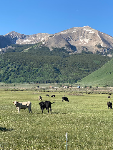 Paige Kaye, Santa Barbara Broker image