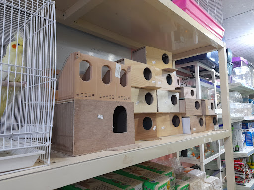 روعة الأسماك والطيور 