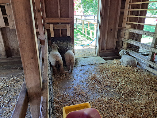 Zoo «Lords Park Zoo», reviews and photos, 325 Hiawatha Dr, Elgin, IL 60120, USA