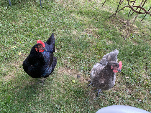 Winery «English Estate Winery», reviews and photos, 17806 SE 1st St, Vancouver, WA 98684, USA