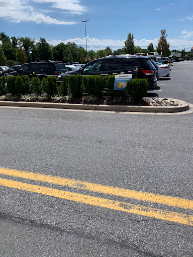 Grocery Store «Safeway», reviews and photos, 337 E Ridgeville Blvd, Mt Airy, MD 21771, USA