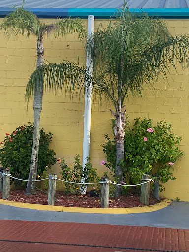 Amusement Park «Adventure Landing Jacksonville Beach», reviews and photos, 1944 Beach Blvd, Jacksonville Beach, FL 32250, USA