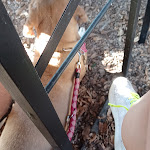 Photo n°1 de l'avis de Ginetta.o fait le 03/07/2023 à 06:28 sur le  Circolo di Artimino Da Mario à Artimino