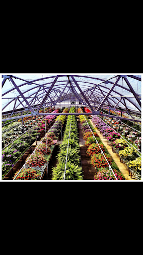 Florist «Mt Pleasant Floral & Greenhouses», reviews and photos, 208 Flower Way, Mt Pleasant, PA 15666, USA