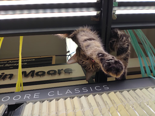 Hardware Store «Ace Hardware/Lumber of Pilot Point», reviews and photos, 316 US-377, Pilot Point, TX 76258, USA