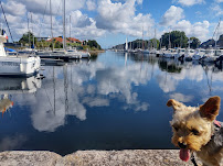 Port de Plaisance du Restaurant français Quai 16 à Carentan-les-Marais - n°2