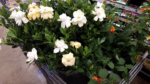 Grocery Store «Kroger Fresh Fare», reviews and photos, 3300 Montrose Blvd, Houston, TX 77006, USA