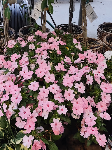 Home Improvement Store «The Home Depot», reviews and photos, 1155 High St, Wadsworth, OH 44281, USA