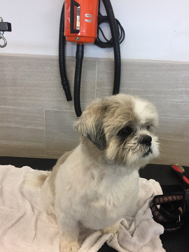 Pet Supply Store «Centinela Feed & Pet Supplies», reviews and photos, 28901 S Western Ave, Rancho Palos Verdes, CA 90275, USA