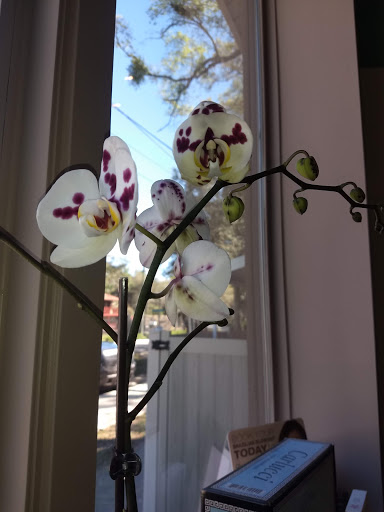 Hair Salon «For Your Eyes Only Hair Salon & Spa», reviews and photos, 12107 San Jose Blvd, Jacksonville, FL 32223, USA