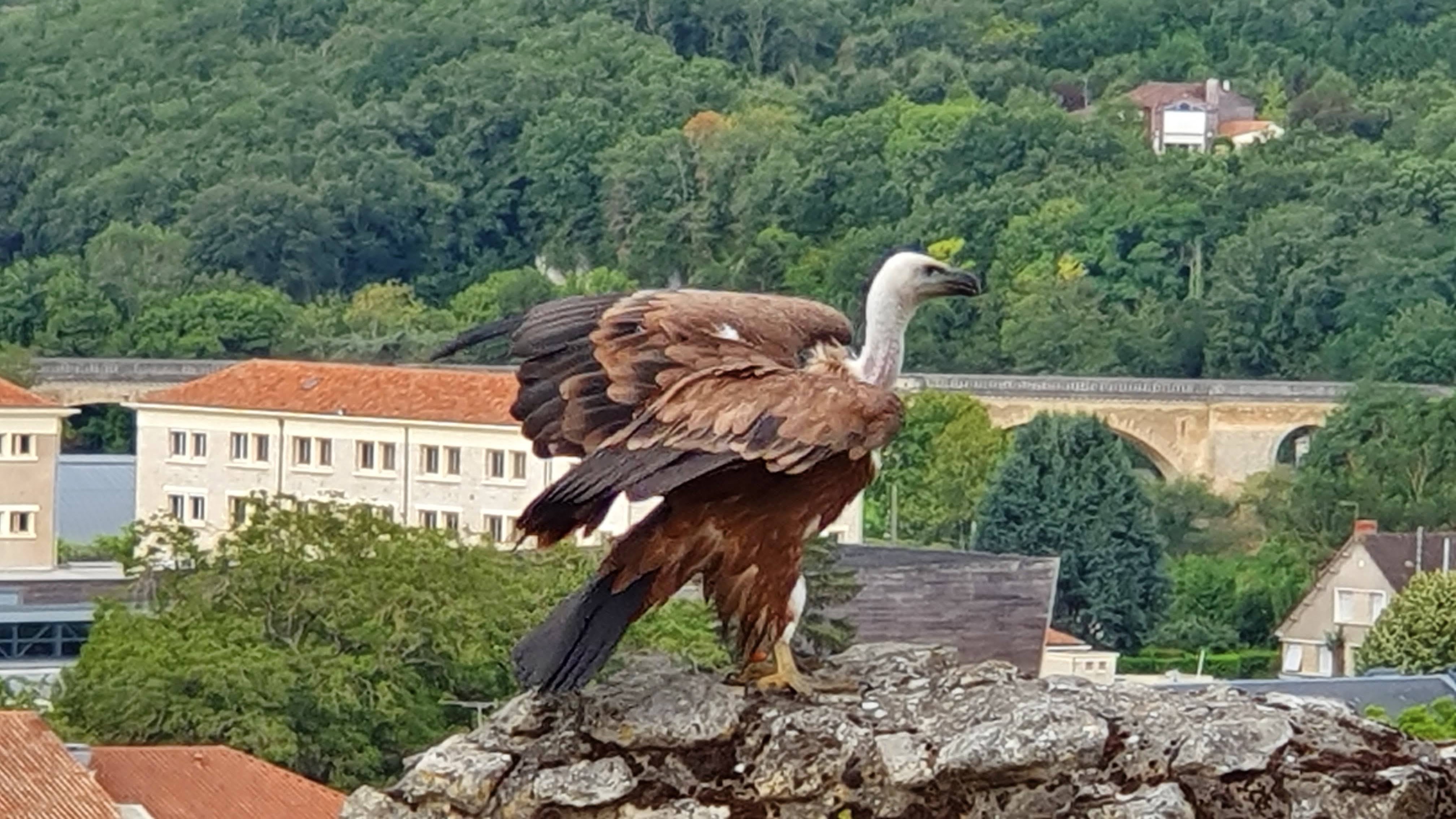 Photo n° 6 de l'avis de Francois.U fait le 11/08/2020 à 06:52