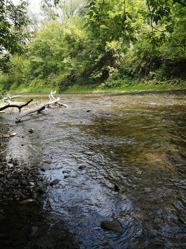 Spencer Creek Trail