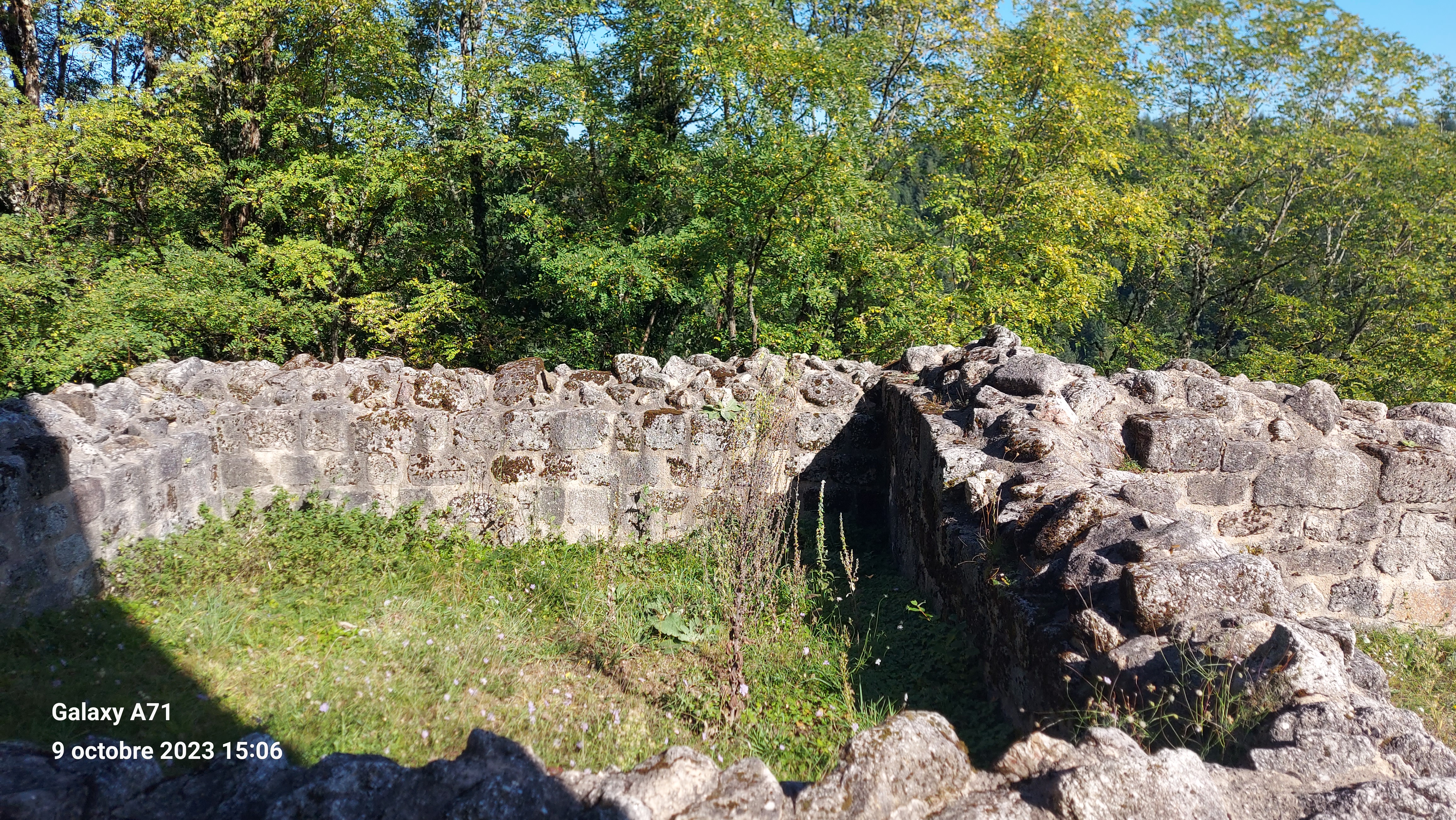 Photo n° 6 de l'avis de Dolorès.a fait le 12/10/2023 à 16:12