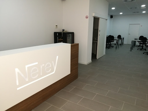 Nerey Informatica Alicante