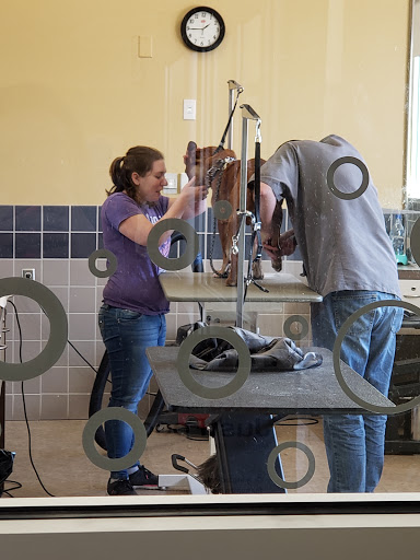 Pet Supply Store «Petco Animal Supplies», reviews and photos, 2210 N Eagle Rd, Meridian, ID 83646, USA