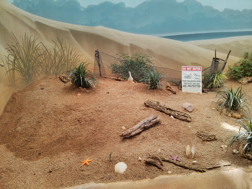 Park «Lincoln Park», reviews and photos, 2045 N Lincoln Park W, Chicago, IL 60614, USA