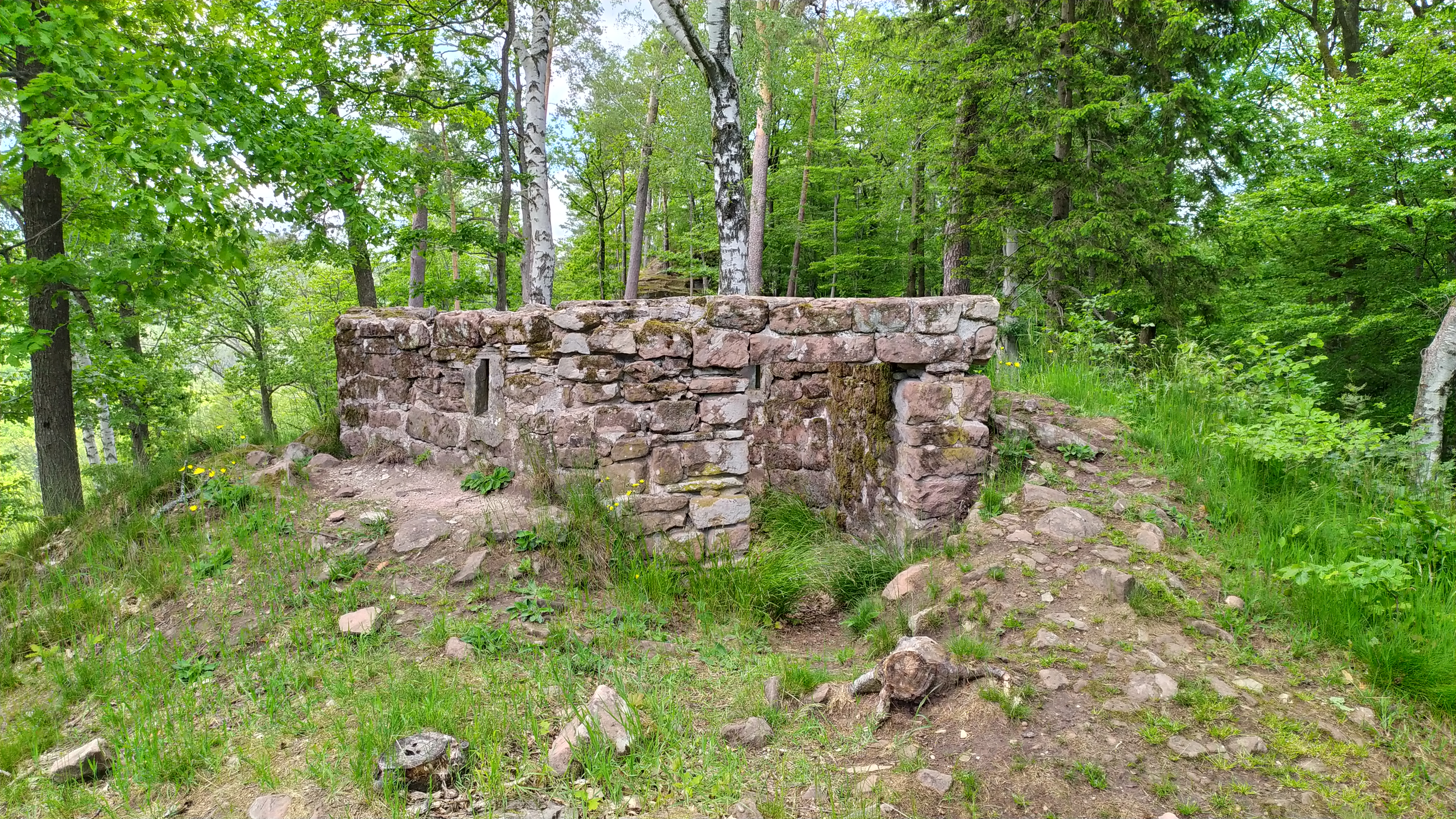 Photo n° 9 de l'avis de perez.r fait le 02/06/2021 à 14:04