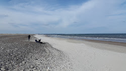 Zdjęcie Kollerup Beach z powierzchnią turkusowa czysta woda