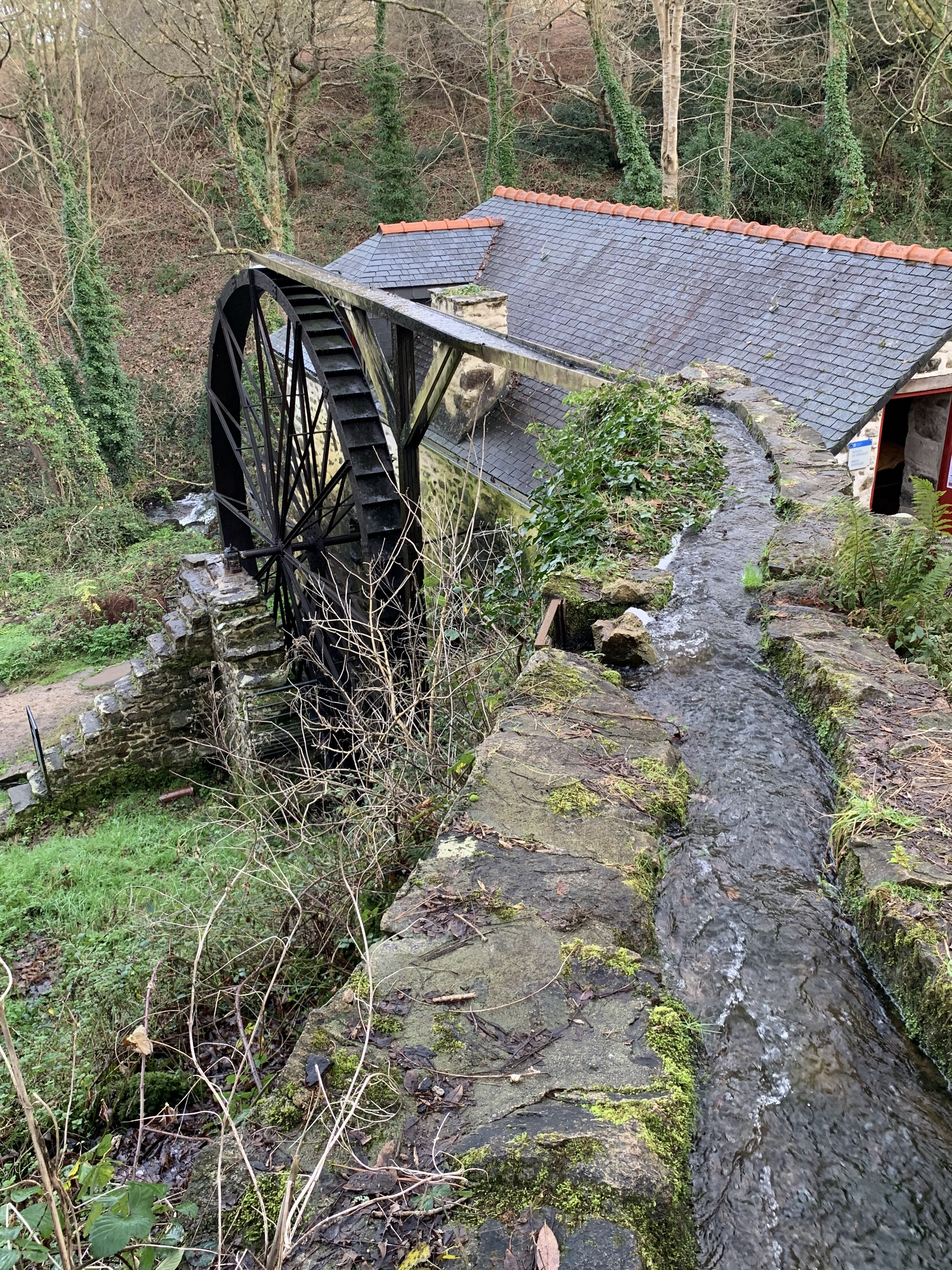 Photo n° 2 de l'avis de Elisabeth.. fait le 23/02/2020 à 22:41