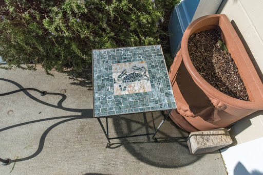 Vineyard «Chatham Vineyards & Winery», reviews and photos, 9232 Chatham Rd, Machipongo, VA 23405, USA