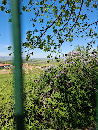 Photo n°54 de Meli Melo à Longes ()