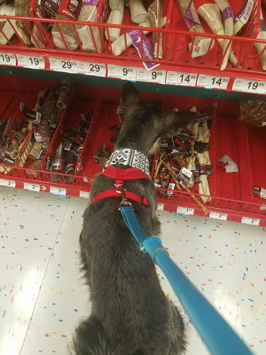 Pet Supply Store «Petco Animal Supplies», reviews and photos, 1250 N Germantown Pkwy #112, Cordova, TN 38016, USA