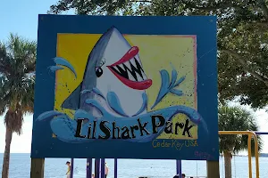 Lil Shark Park image