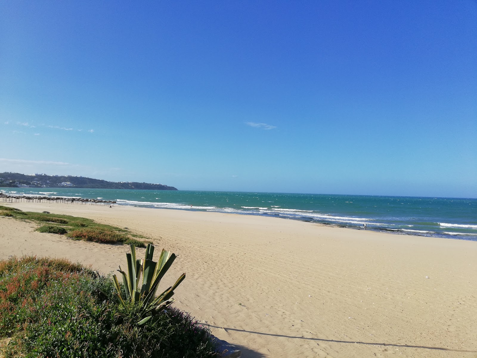 Zdjęcie Plage de La Marsa z powierzchnią drobny beżowy piasek