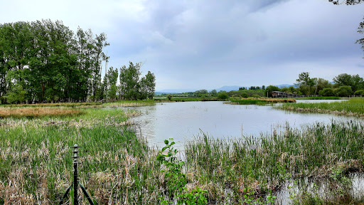 Parque de Salburua - Bulevar de Salburua Kalea, s/n, 01002 Gasteiz, Araba, España