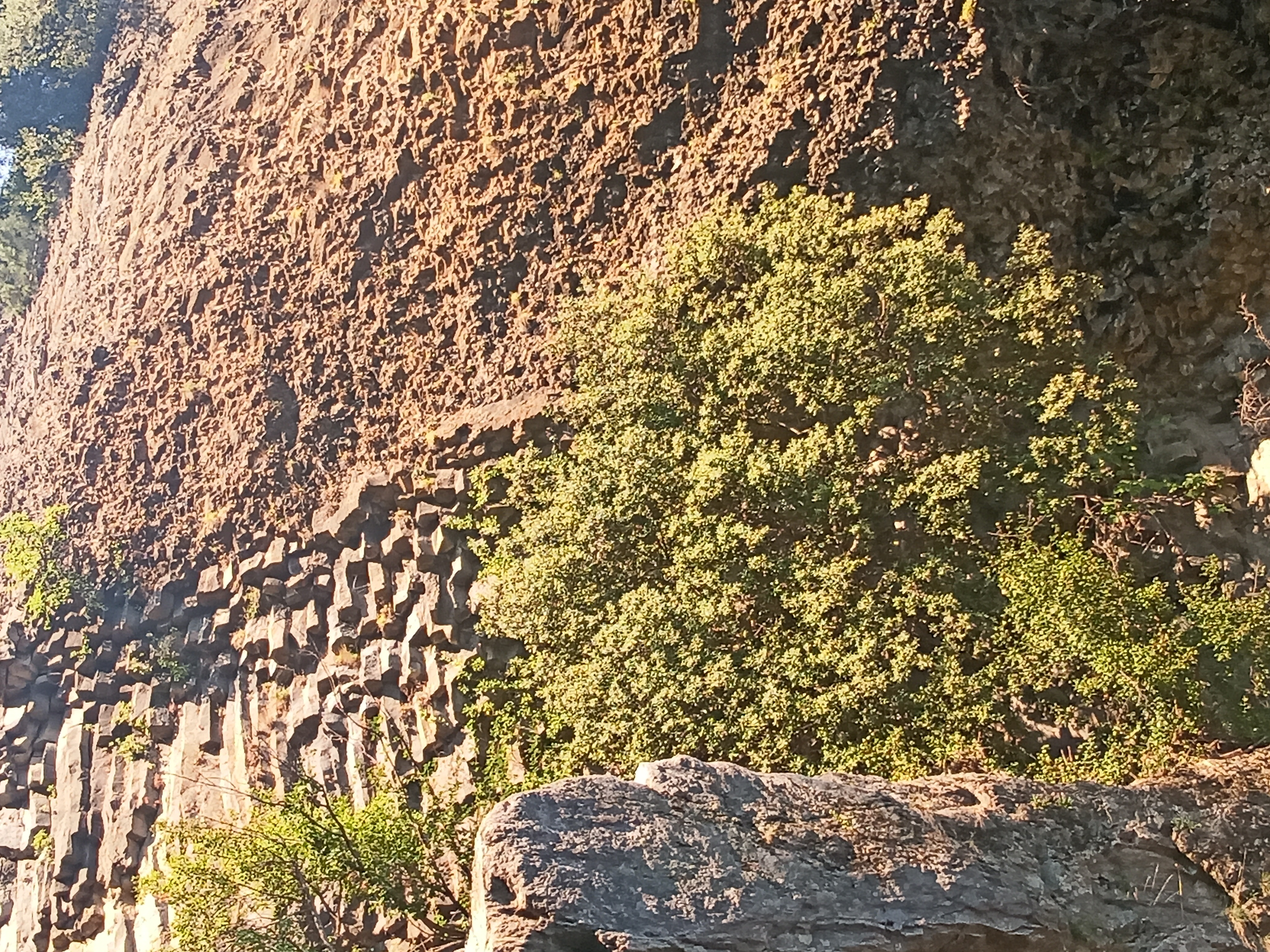 Photo n° 4 de l'avis de Joséfa.o fait le 15/08/2022 à 09:45