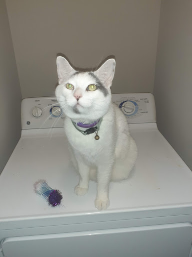 Pet Supply Store «PetSmart», reviews and photos, 101 Pavilion Pkwy, Fayetteville, GA 30214, USA