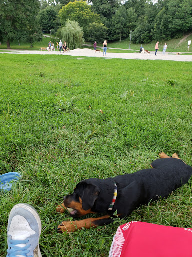 Parc Trinity Bellwoods