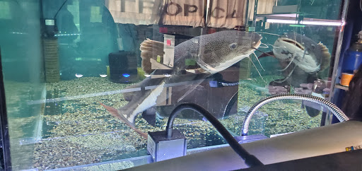 Pet Supply Store «Monrovia Tropical Fish», reviews and photos, 603 W Huntington Dr, Monrovia, CA 91016, USA