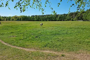 Wild und Haustierpark Liebenthal gGmbH image