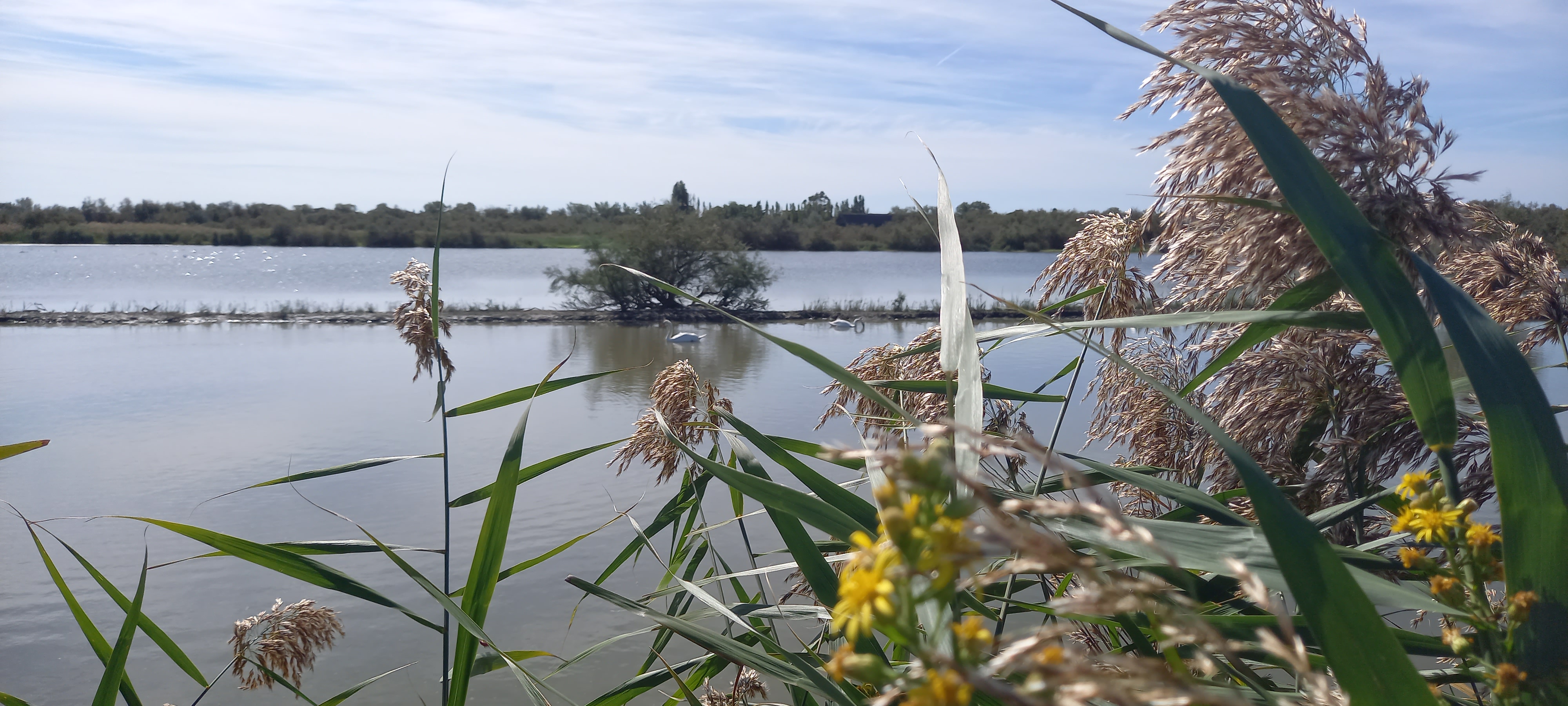Photo n° 3 de l'avis de veronique.o fait le 08/10/2021 à 12:55