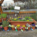 Photo n°1 de l'avis de Lena. fait le 05/06/2021 à 19:07 sur le  Turmblick à Zell