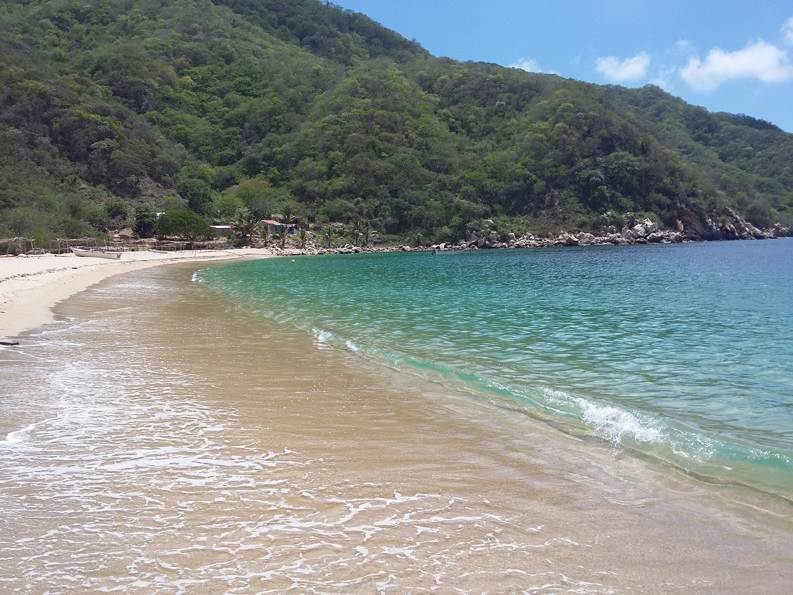 Corrales beach的照片 带有宽敞的海湾