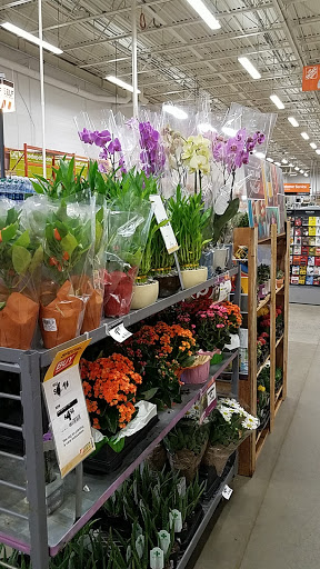 Home Improvement Store «The Home Depot», reviews and photos, 2350 Legge Blvd, Winchester, VA 22601, USA